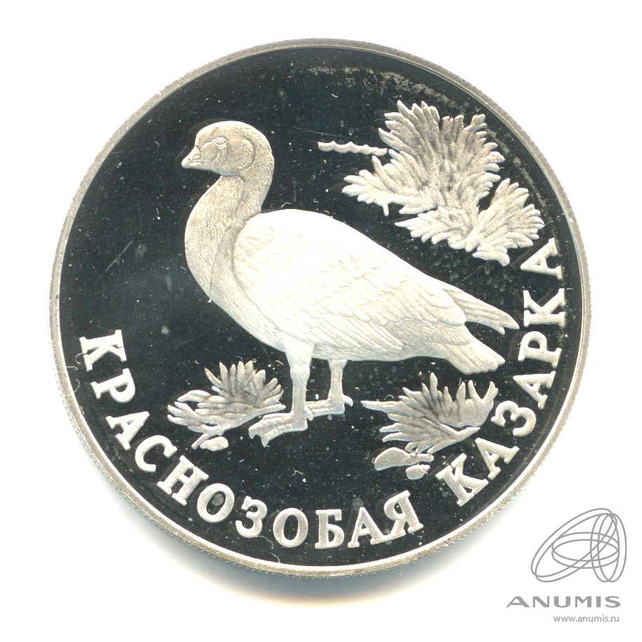 1 рубль 1994 ЛМД — Краснозобая казарка. В капсуле
