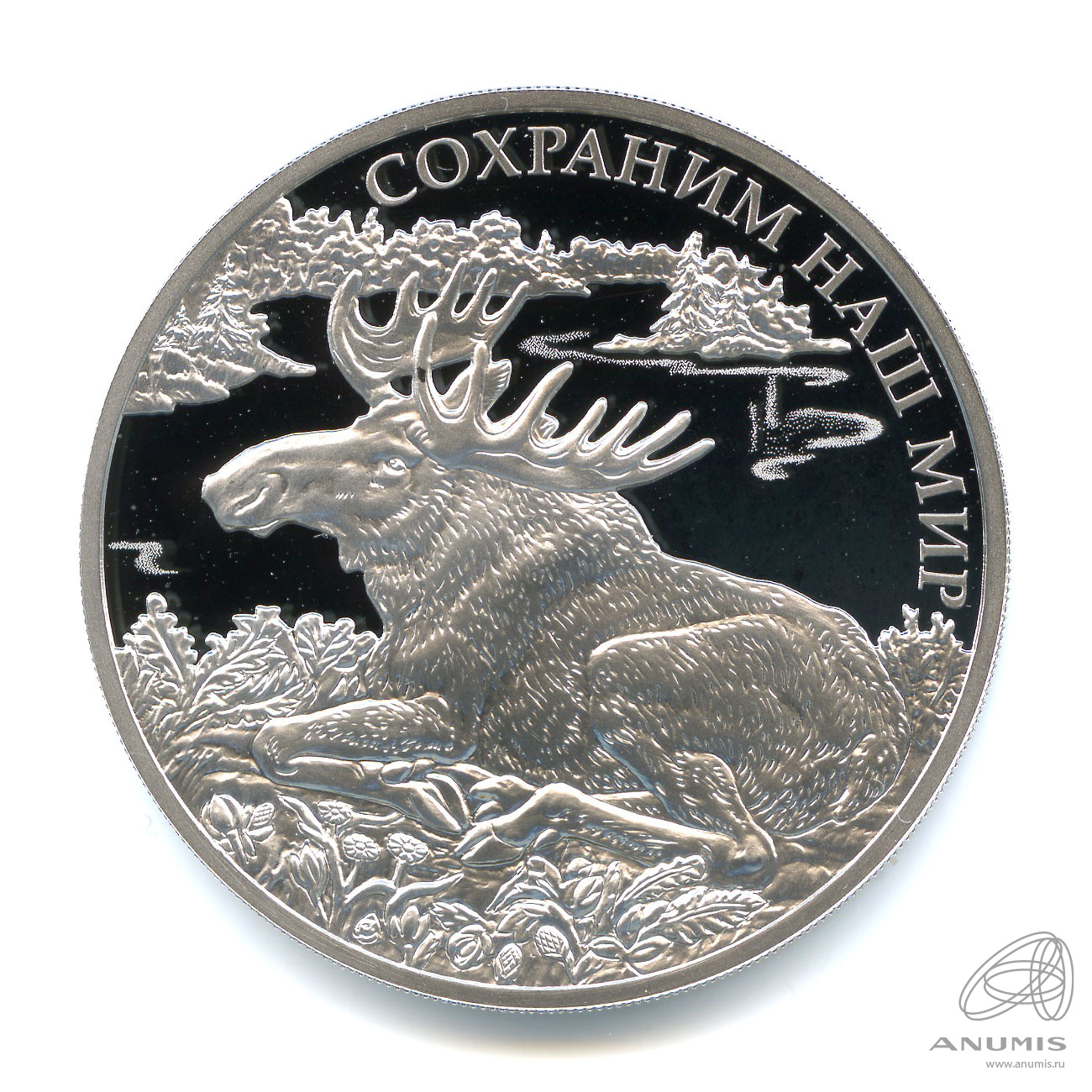 Изображение№2