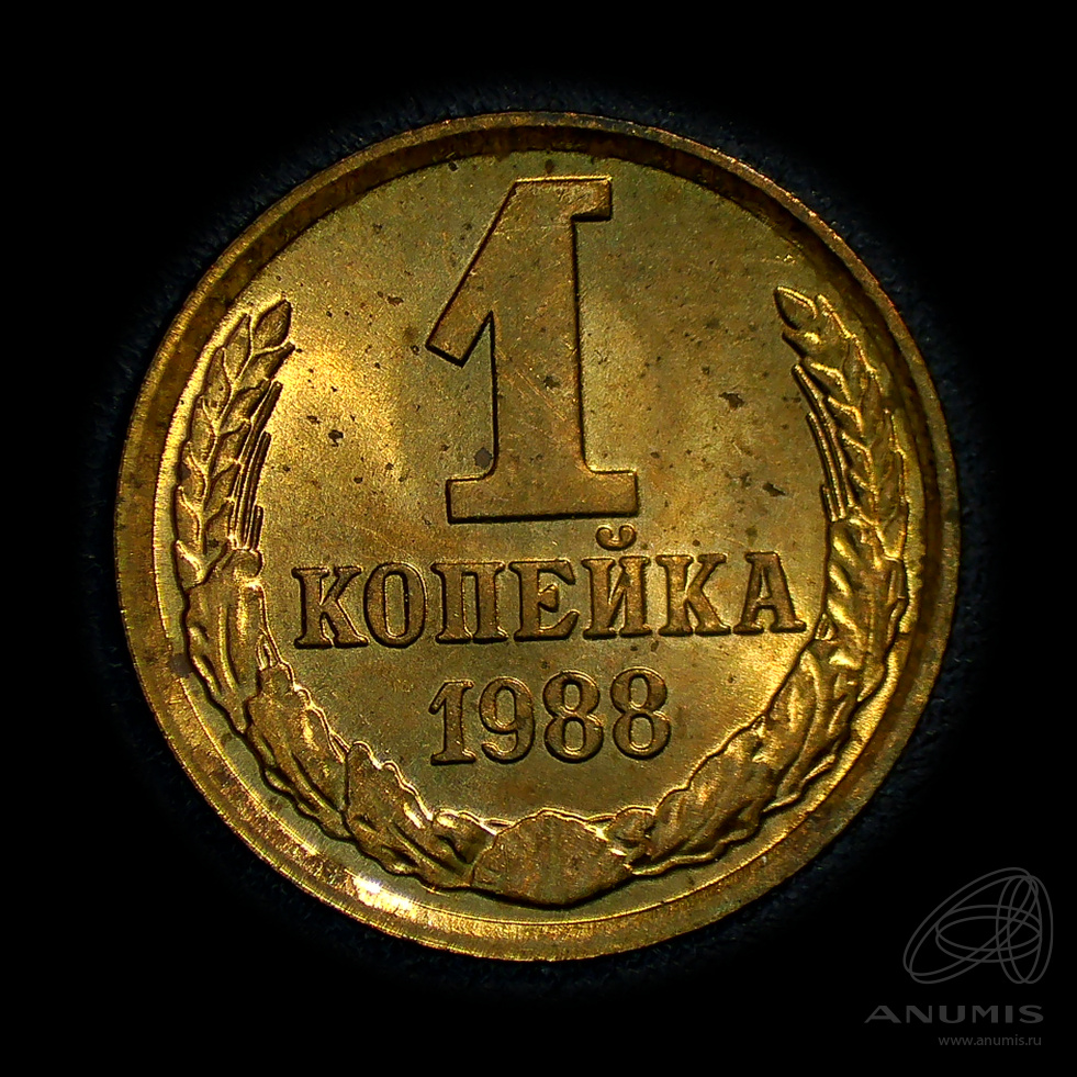 1 копейка 1988 — Штемпельный блеск