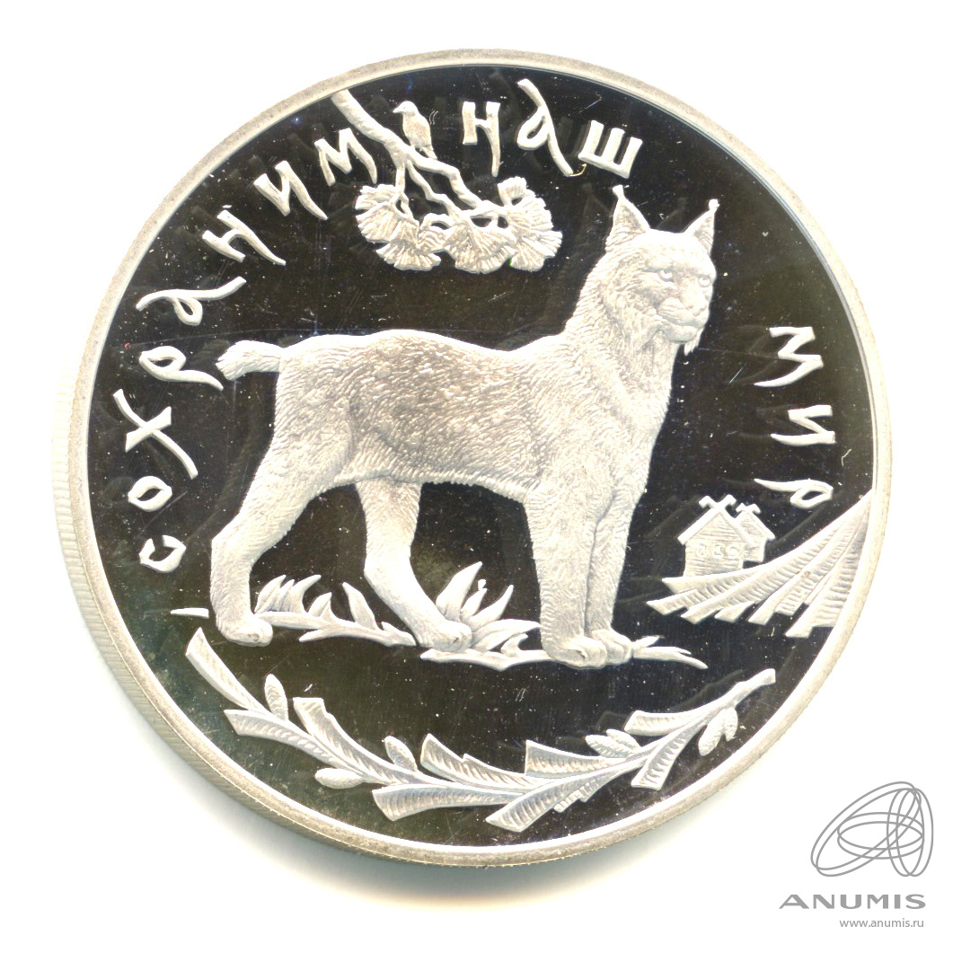 Изображение№2