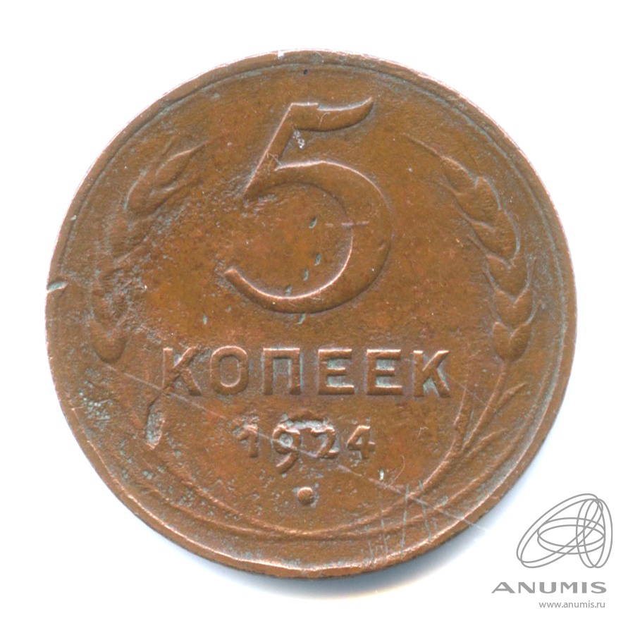5 копеек 1924 — Гурт гладкий. На Николаевском кружке. Земной шар выпуклый (Земной шар выпуклый)